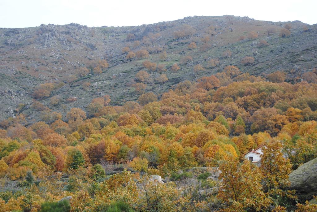 Casa Rural Romanejo Cabezabellosa Exteriör bild