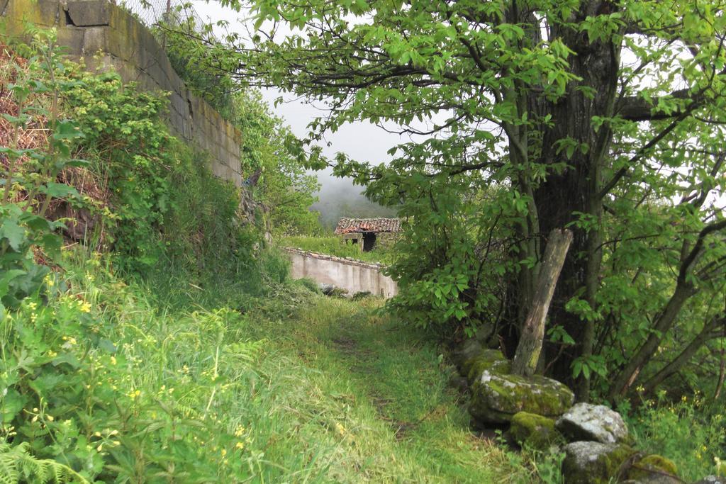 Casa Rural Romanejo Cabezabellosa Exteriör bild